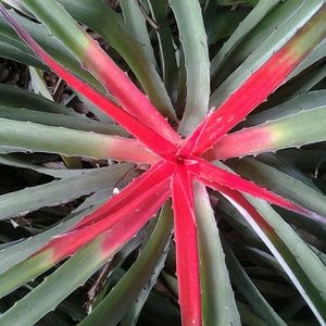 Meet your Posher, Jan